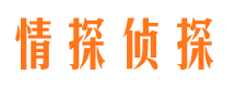 正定侦探